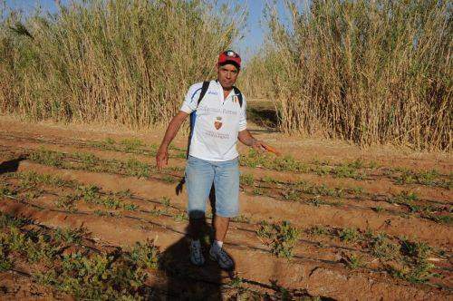 SAHARA MARATHON  2011